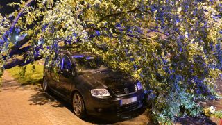 Nach dem Unwetter vom 15.0.8.2023 liegt ein umgefallener Baum auf einem Auto (Bild: picture alliance/dpa | Michael Bahlo)
