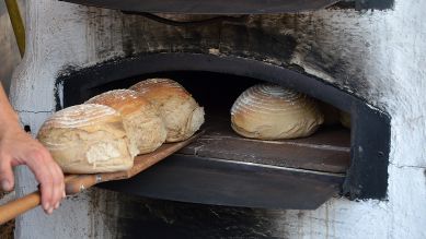 Brote, die aus einem Holzofen geholt werden. Quelle: COLOURBOX