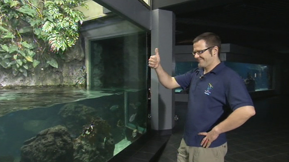 Pfleger Marco Hasselmann steht am Aquarium (Quelle: rbb)