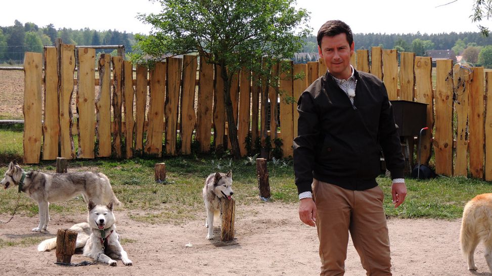 Sascha Hingst mit Huskies (Quelle: Elia Brose)
