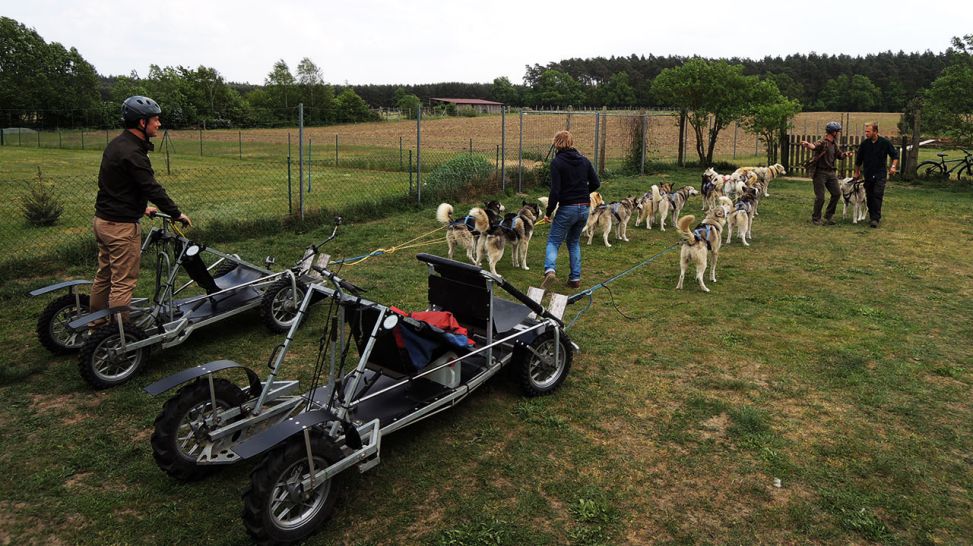 Sascha Hingst auf Hundeschlitten mit Huskies (Quelle: Elia Brose)
