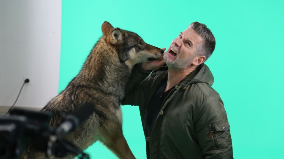 Sven Oswald mit einem Wolf an der Kehle vor grünem Hintergrund; Bild: rbb/ Jirka Schaar