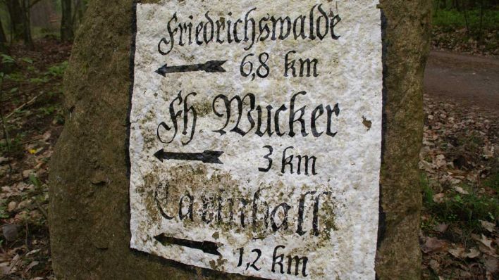 Kilometersteine in der Schorfheide (Quelle: Judith Rhode)