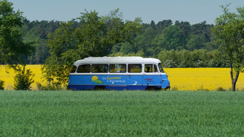 Blauer Robur-Bus mit Logo "Ein Sommer in Brandenburg" auf Brandenburger Allee vor gelbem Rapsfeld (Montage: Anja Bischoff/rbb)