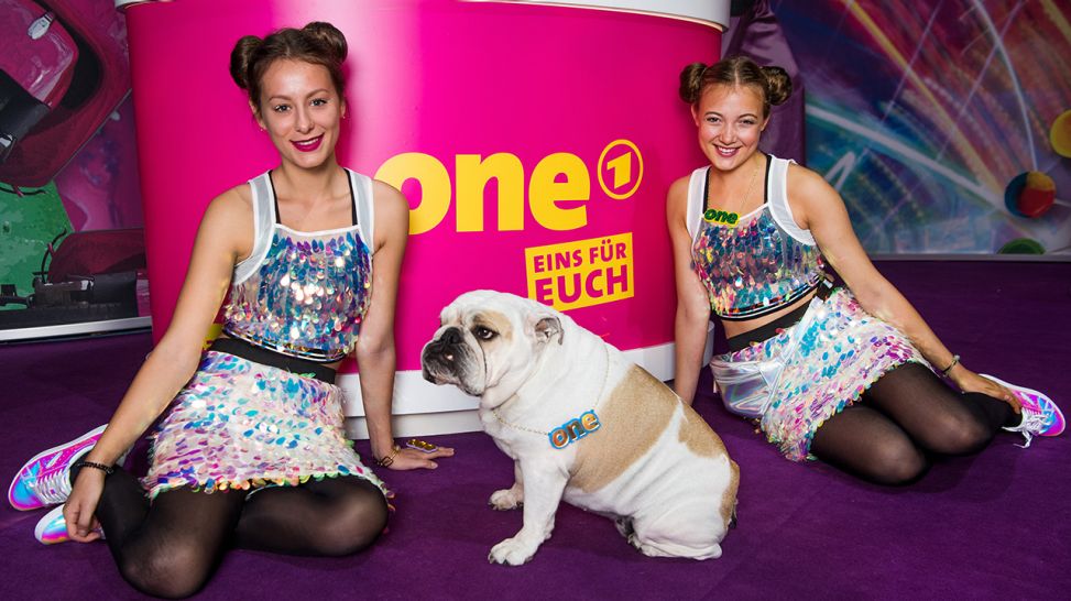One Stand mit Bulldogge (Quelle: rbb)