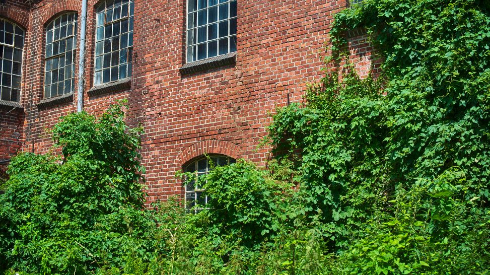 Papierfabrik Hohenofen: Detailansicht der Fassade, Foto: rbb / Jörg Pitschmann