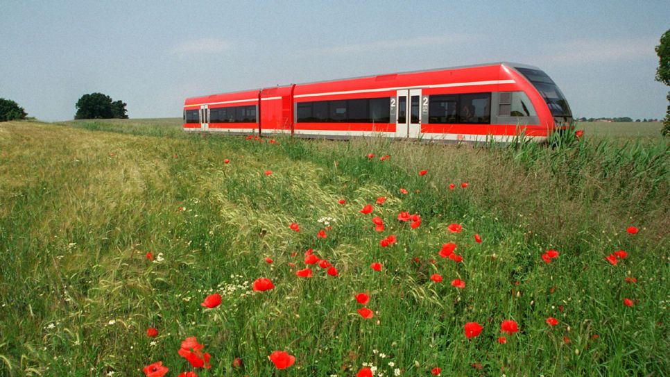Der Prignitz-Express fährt durch die Landschaft vorbei an einem Mohnfeld; Quelle: dpa