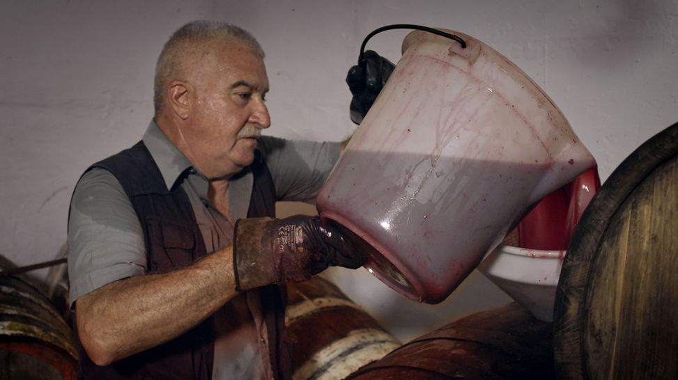 Weinbauer auf Sizilien (Bild: rbb/EIKON Filmproduktion & Miramonte Film)