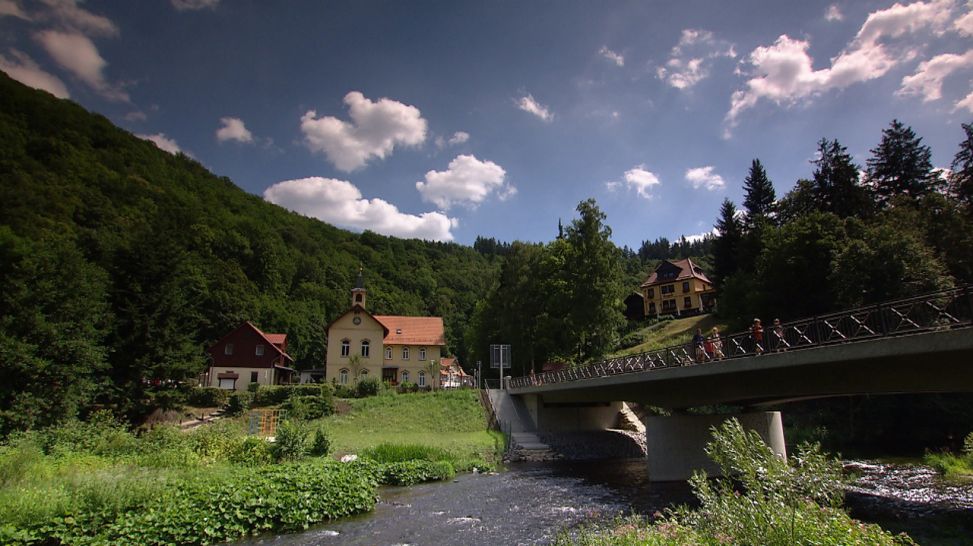 Das Bodetal im Harz. Quelle: rbb