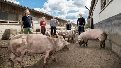 Familie Koch mit ihren Havelländer Apfelschweinen. © rbb/Alex Sievert