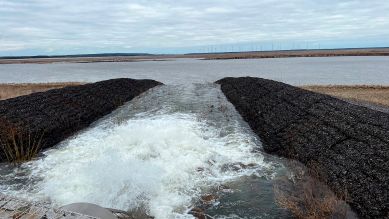 Spreewasser flutet eine ehemalige Braunkohlegrube, die zum Cottbuser Ostsee werden soll (Bild: rbb)