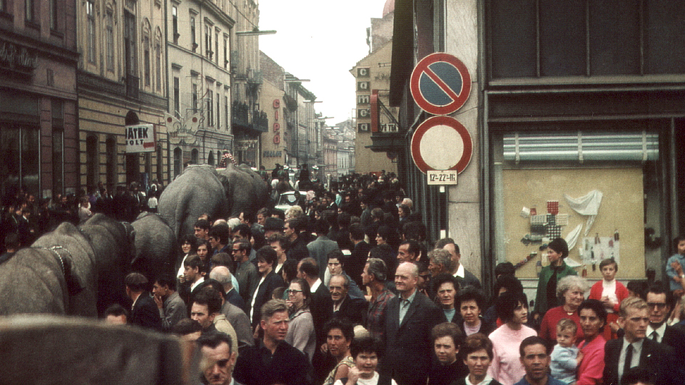 Zirkus-Stadtparade in den 60er Jahren; Quelle: rbb/Privatarchiv Günther Hecht