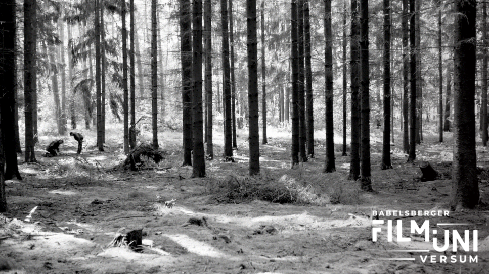 Babelsberger Filmuniversum: Waldstück, Foto: Babelsberger Filmuniversität