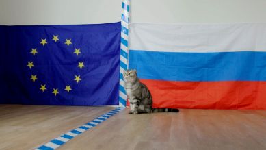 Katze an symbolischer Grenzlinie zwischen EU--Fahne und Russischer Fahne (Bild: rbb/Time Prints/Andrea Gatzke)