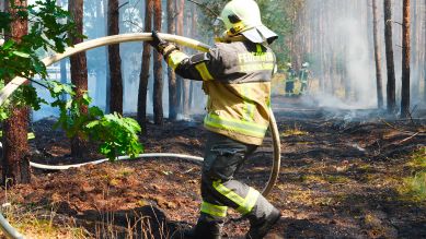 Einsatz der Freiwilligen Feuerwehr Halbe in einem Waldstück (Bild: rbb/Felix Krüger)