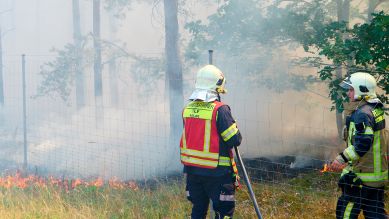 Feuerwehrmänner bekämpfen einen Böschungsbrand an der A13 (Bild: rbb/Felix Krüger)