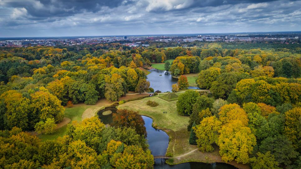 Branitzer Park im Herbst, Foto: imago images / Rainer Weisflog