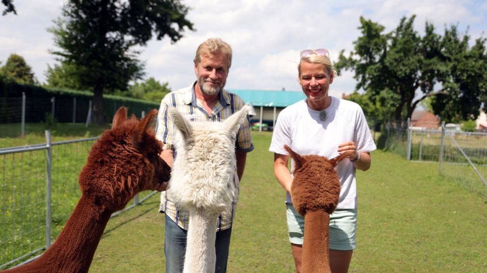 Günther Repkow (li) und Ulrike Finck (re) mit Alpakas; Quelle: rbb/Björn Lindenblatt
