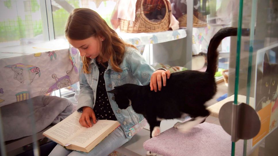 Schülerin Levinia liest einer Tierheimkatze vor; Quelle: rbb/Alexander Seidenstücker