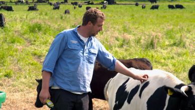 Fabian Pruns besucht die Kühe auf der Weide; Quelle: rbb/DOKFilm Fernsehproduktion