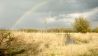 Zum Abend zeigt sich ein Regenbogen an der Oder. (Quelle: rbb)