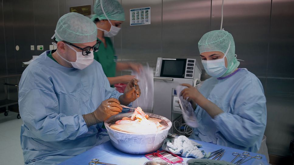 Dr. Georg Lurje bereitet eine Spenderleber für die Transplantation vor (Bild: rbb/DOKfilm)