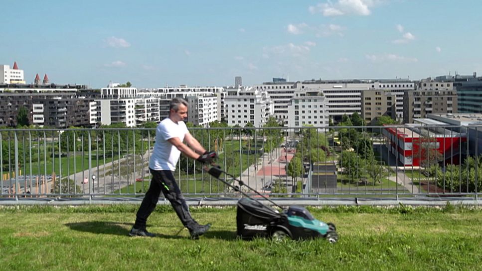 Wohnprojekt Wien: Mann mäht auf einem Dach Rasen (Bild: rbb)