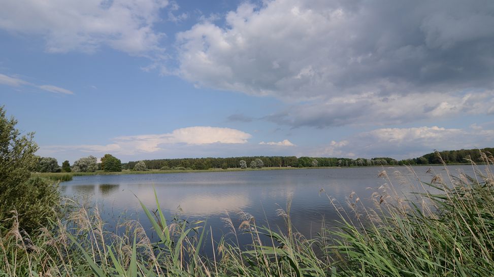 Boeker Fischteiche am Ostufer der Müritz (Bild: NDR Naturfilm)