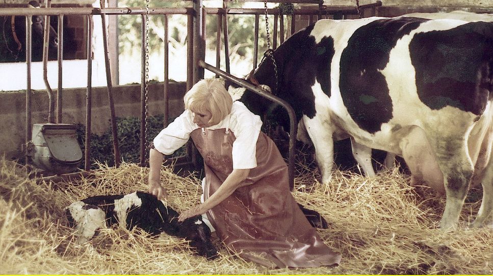 Bild zum Film: Viechereien, Quelle: rbb/DRA/Rudi Meister