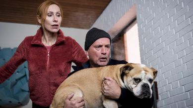 Anja (Andrea Sawatzki) und Christoph (Christian Berkel) retten ihren Hund Hasso aus dem brennenden Haus. Bild zum Film: Scheidung für Anfänger, Quelle: rbb/Degeto/Christoph Assmann