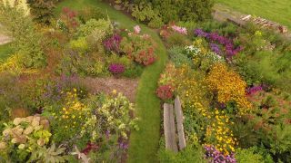 Die rbb Gartenzeit ist zu Gast in einem herbstlich bunten Privatgarten bei Luckenwalde
