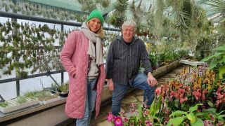 Ulrike Finck ist zu Gast in der Orchideengärtnerei Lehrradt