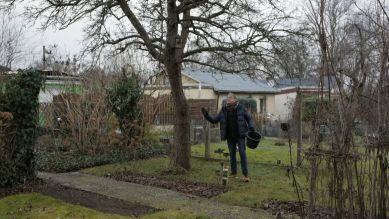 Gartentipp Horst sein Schrebergarten: Obstbäume düngen