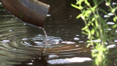 rbb Gartenzeit: Wasser sparen - Regenwasser auffangen