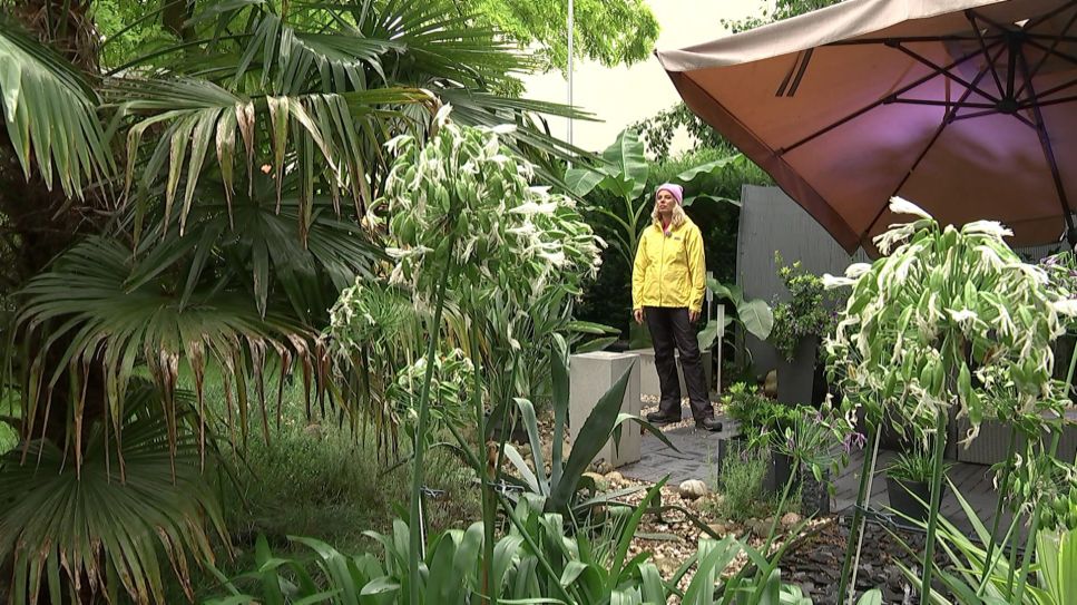 Die rbb Gartenzeit meldet sich aus dem Privatgarten von Marina und Jörg Schlichtiger in Berlin-Spandau