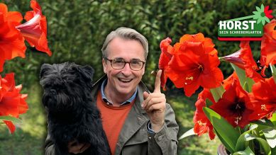 Horst mit Hund vor Amaryllisblüten (Quelle: rbb)
