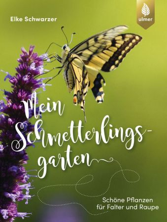 Mein Schmetterlingsgarten (Quelle: Ulmer)