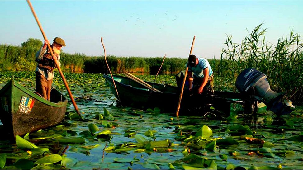 Donaufischer am Morgen, Quelle: rbb