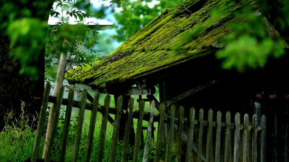 Eine ältere Hütte, dessen Dach mit Moos überdeckt ist (Quelle: rbb)