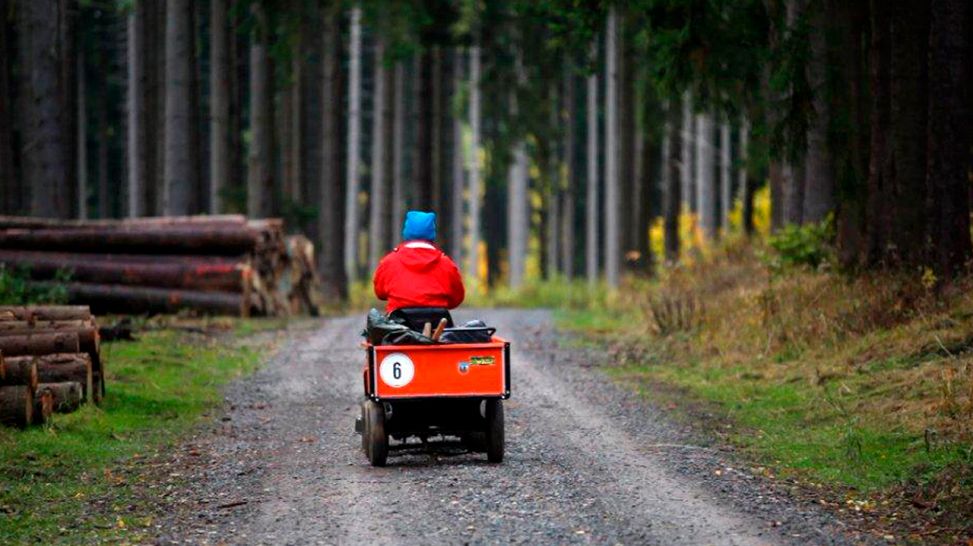 Michael Kessler fährt auf dem Rasenmäher durch den Wald; Quelle: rbb/Wieduwilt Film & TV Produktion