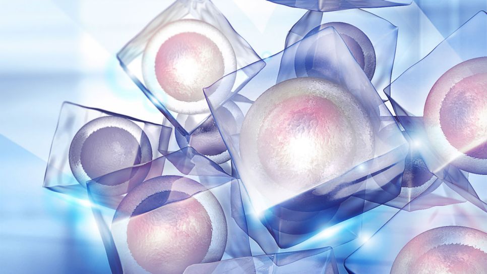 Gefrorene Eizellen, Bild: rbb