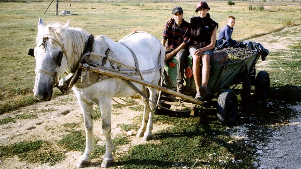 Drei Menschen auf einem Pferdewagen in Moldawien; Quelle: rbb/Volker Koepp