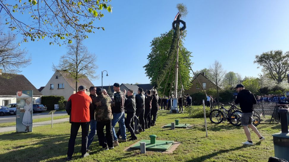 Łužyca Dreh beim Maibaumstellen in Tauer: Finale - Jugend und Feuerwehr bringen den Baum in Position