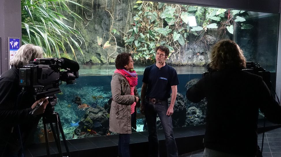 Dreharbeiten im Aquarium (Quelle: Thomas Ernst/Dokfilm)