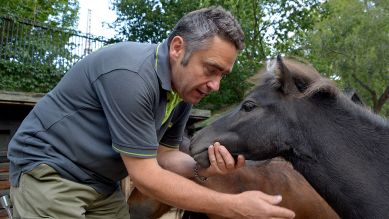 Tierpfleger Mario Barabasz möchte mit Shetland-Pony Renate auf große Erkundungstour durch den Zoo, Quelle: rbb/Thomas Ernst