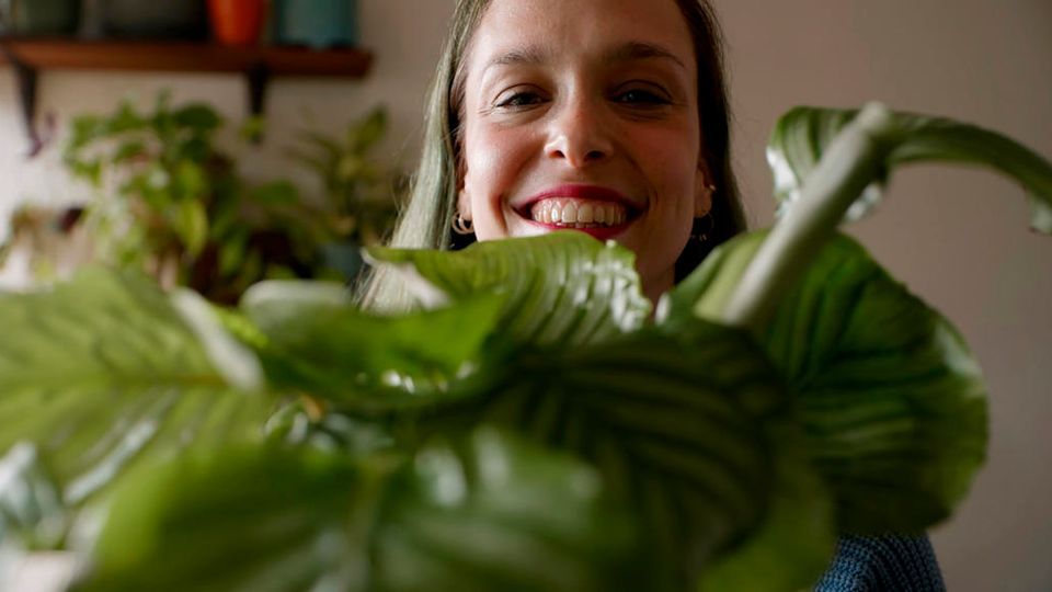 Das Comeback von Monstera und Co. - Zu Besuch bei Berliner Zimmerpflanzenfreaks - Reportage von Stefanie Stoye (01.05.21, 18:10)
