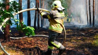 Die rbb Reporter: Wald in Flammen
