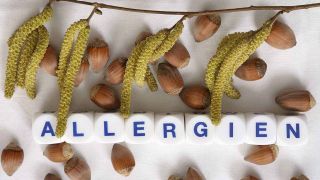 Symbolbild Allergien mit Haselpollen und Haselnüssen (Quelle: imago/CHROMORANGE)