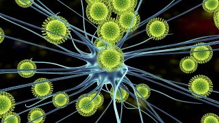 Illustration: Zika-Virus greift Nervensystem an (Quelle: imago/Science Photo Library)