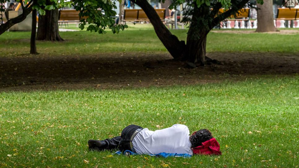 Mann schläft in einem Park (Quelle: imago/McPHOTO)